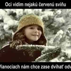 Obrázek 'cervena svina'