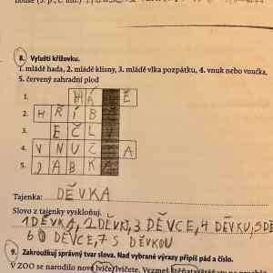 Obrázek 'cerveny&nbsp;zahradni&nbsp;plod&nbsp;na&nbsp;pet'