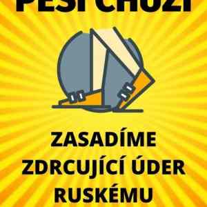 Obrázek 'cesi bojuji 01'
