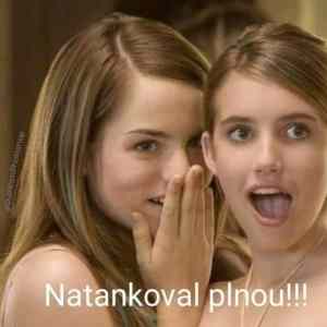 Obrázek 'cesi bojuji 03'