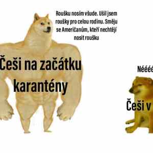 Obrázek 'cesi v karantene'