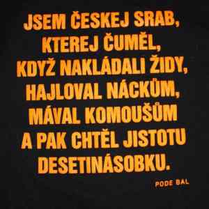 Obrázek 'ceskej srab'