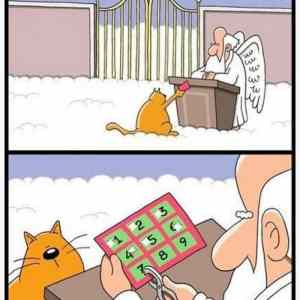 Obrázek 'cestovni listky ' Obrázek 'cestovni listky '