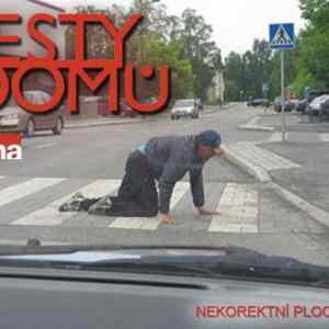 Obrázek 'cesty domu'