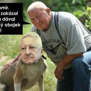 Obrázek 'chceme&nbsp;toho&nbsp;panicka&nbsp;26quest&nbsp;3B'