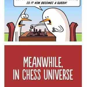 Obrázek 'chess universe'