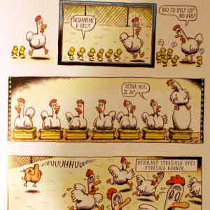 Obrázek 'chicken fun'