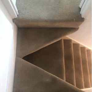 Obrázek 'chlupate schode'