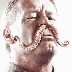 Obrázek 'chobotnicka'