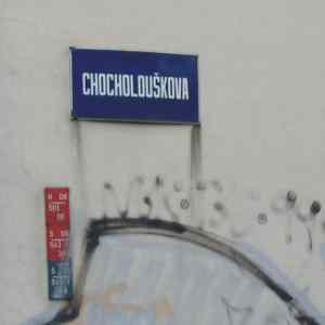 Obrázek 'chocholouskova'