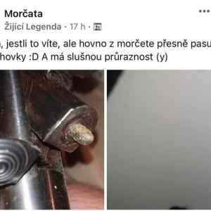 Obrázek 'chovatele morcat'