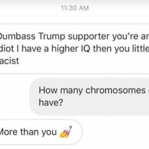 Obrázek 'chromosomes'