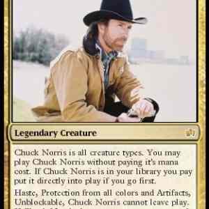 Obrázek 'chuck noris'