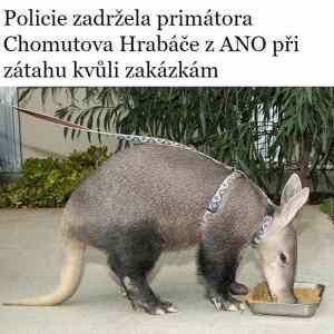 Obrázek 'chytli-ho'