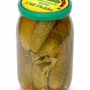 Obrázek 'cinske okurky'