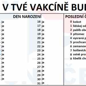 Obrázek 'cip ve vakcine fixed'