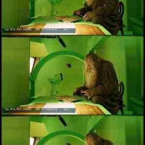 Obrázek 'clip.&nbsp;&nbsp;'