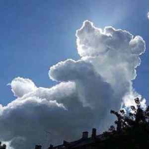 Obrázek 'cloud-bear'