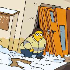 Obrázek 'co kamerujes ve Springfieldu'