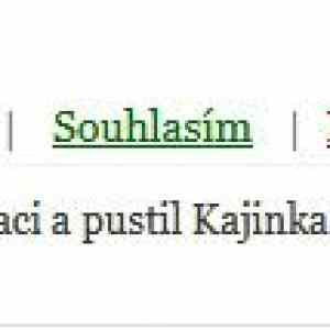 Obrázek 'co&nbsp;si&nbsp;preje&nbsp;vetsina&nbsp;naroda'