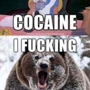 Obrázek 'cocaine told you'