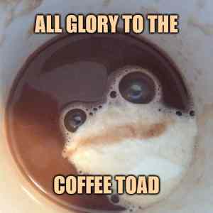 Obrázek 'coffee toad'
