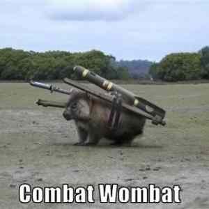 Obrázek 'combat wombat '