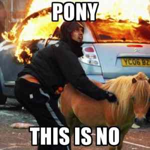 Obrázek 'come on little pony'