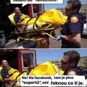 Obrázek 'comment section18'