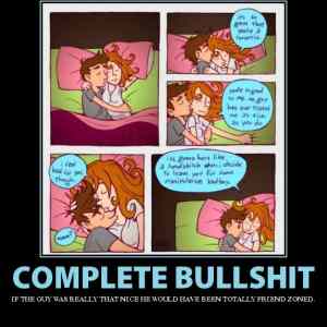 Obrázek 'complete bullshit'