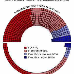 Obrázek 'congressional wealth distribution'