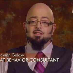 Obrázek 'consultant'