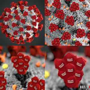 Obrázek 'corona&nbsp;pod&nbsp;mikroskopem'