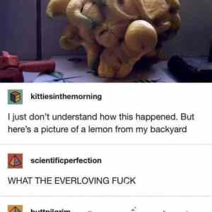 Obrázek 'cosmic horror lemon'