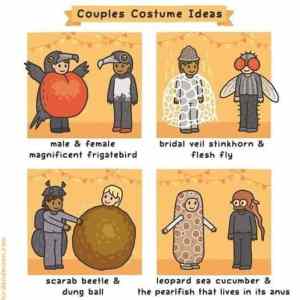 Obrázek 'couple&nbsp;costumes'