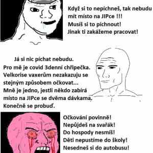 Obrázek 'covidioti dnes'