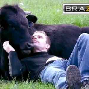 Obrázek 'cowzzers'