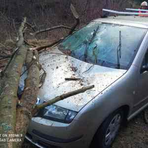 Obrázek 'crash' Obrázek 'crash'
