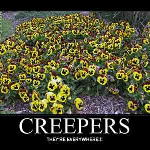 Obrázek 'creepers-everywhere'