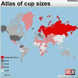 Obrázek 'cup sizes'
