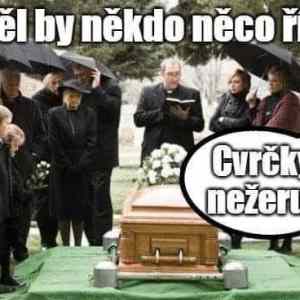 Obrázek 'cvrcky nezeru'