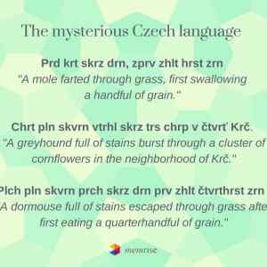 Obrázek 'czech language'