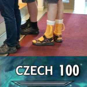 Obrázek 'czech level 100'