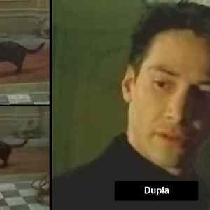Obrázek 'd u p l a'