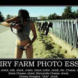 Obrázek 'dairy farm photo essay'