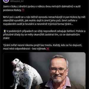 Obrázek 'dalmatini a soudruh z KSC'