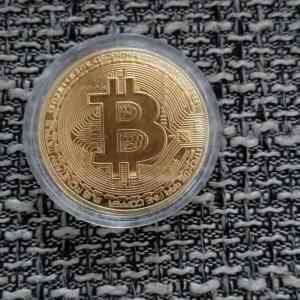 Obrázek 'dalsi&nbsp;bitcoin&nbsp;bro'