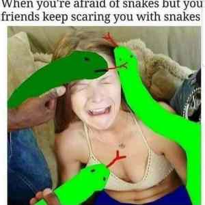 Obrázek 'damn-snakes'