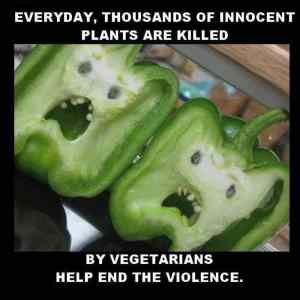 Obrázek 'damn vegetarians'