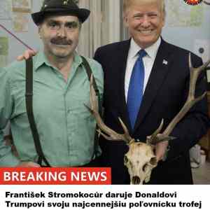 Obrázek 'dar&nbsp;1'